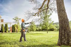 Seasonal Cleanup (Spring/Fall) in Alameda, CA